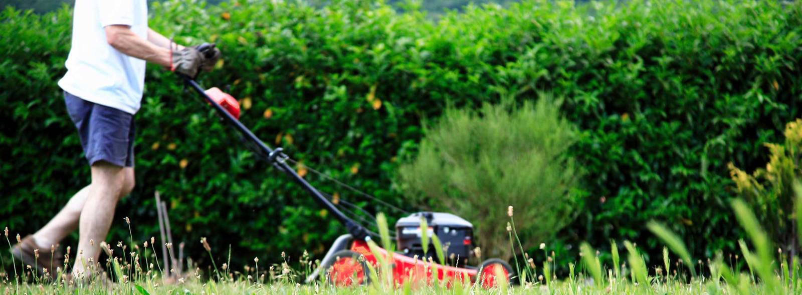 Ремонт газонокосилок Simplicity