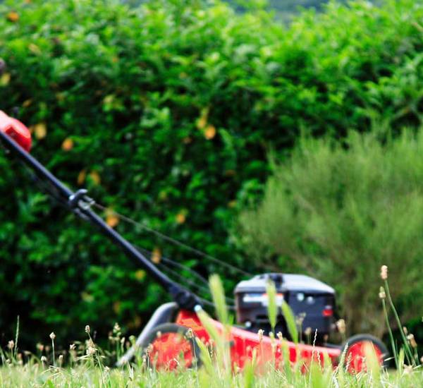 Ремонт газонокосилок Simplicity