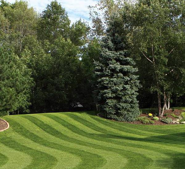 Оригинальные запчасти Simplicity